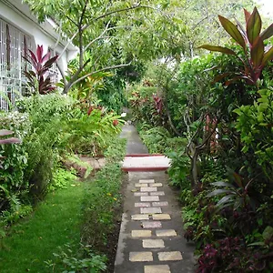 15 Min From The Airport In Jamaica Jamaica